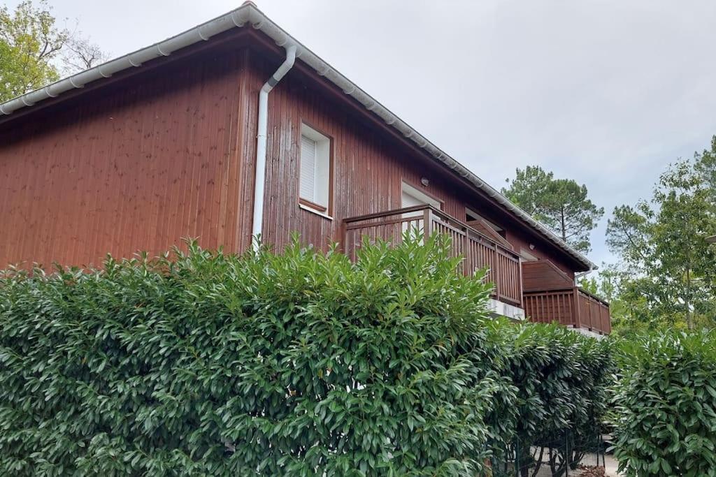 Appartement cosy Biscarrosse Exterior foto